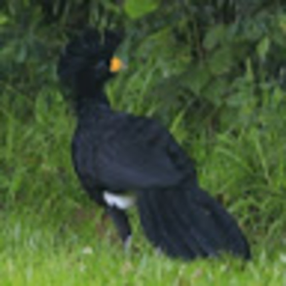 Profile Picture of Jacob Fabus (@fabusjacob) on Poshmark