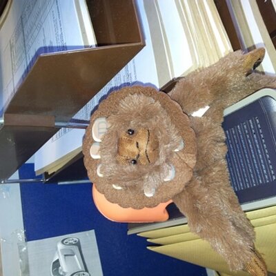 Profile Picture of Penny Wallace (@bacardicat5) on Twitter