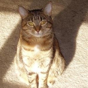 Profile Picture of Imogene Phillips (@375101699) on Myspace