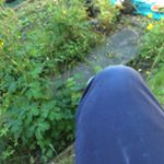 Profile Picture of Peter (@peterjamoore) on Instagram