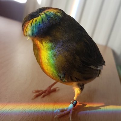 Profile Picture of Dr.Strange (@Nick_Mart_23) on Twitter