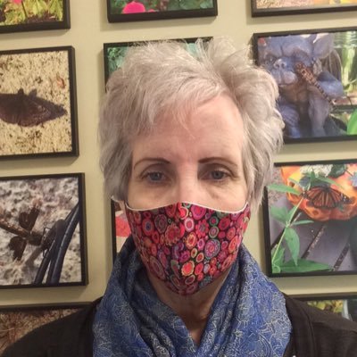 Profile Picture of Anita 🐝📬 ✏️🇺🇸🌊 (@ASauer8) on Twitter