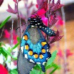 Profile Picture of Hazel Riggins Payne (@hazelrigginspayne) on Instagram