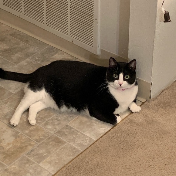 Profile Picture of Austin Schrum (@schrum14) on Poshmark