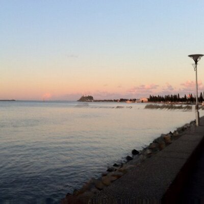 Profile Picture of Simon Peng (@simonpengYA) on Twitter