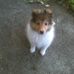 Profile Picture of Janet Colburn (@janet.colburn.54) on Facebook
