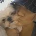 Profile Picture of Lily Rojas (@lilyrojas) on Pinterest