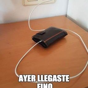 Josie Frank - Twitter Profile Picture of Josie Frank (@josiefrank456) on Twitter