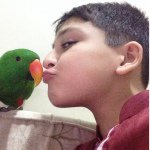 Profile Picture of Arshad Siddiqui (@arshad_siddiqui) on Instagram