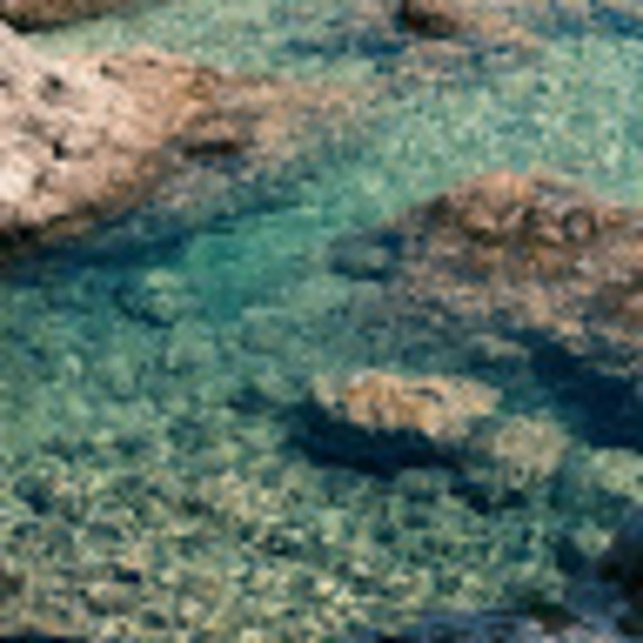 Profile Picture of Christy Kotulski (@chemstreet) on Poshmark