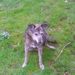 Profile Picture of David Capstick (@davidlcapstick) on Pinterest
