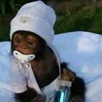 Profile Picture of Edwin Toribio (@edwin_toribio) on Instagram