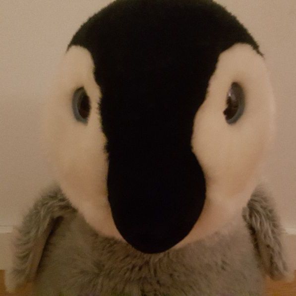 Profile Picture of Lisa Elmgren (@lisaelmgren) on Tiktok