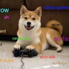 Profile Picture of Tanner Yohe (@yodoge80) on Twitter