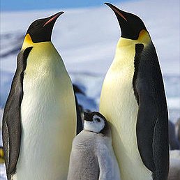 Profile Picture of Lukas Lorenz-meyer (@LukasLorenzmey1) on Twitter