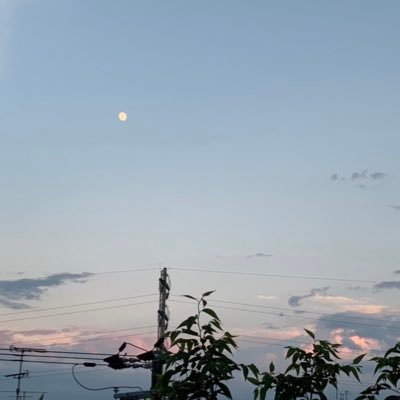 Profile Picture of よもぎ (@Heinrich_Roth_) on Twitter