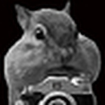 Profile Picture of Erik Olson (@chipmunk87) on Flickr