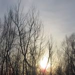 Profile Picture of Monique Boisvert (@natureshawi) on Instagram