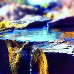 Profile Picture of Dustin Albers (@exploration_or_bust) on Instagram