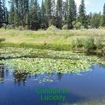 Profile Picture of Terry hamrick (@terry.hamrick) on Instagram