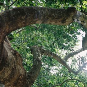 Profile Picture of Johnnie BeGood (@michosioannis) on Pinterest