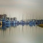 Profile Picture of David Dufala (@david_dufala) on Instagram