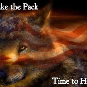 Profile Picture of Ralph Migliaccio (@RalphMigliaccio) on Twitter