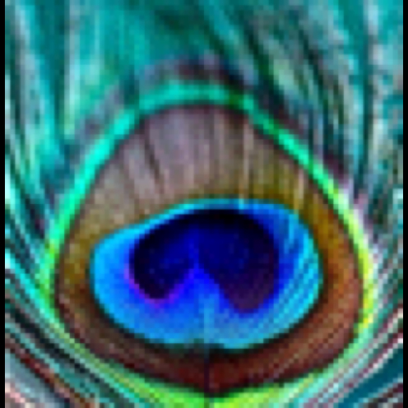 Profile Picture of Oriole Beland (@oriole) on Poshmark