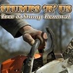 Profile Picture of Joe Winchester (@joewinchester88) on Instagram