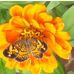Profile Picture of Jim Burtle (@jim.burtle.792) on Facebook