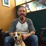 Profile Picture of Steve Balestreri (@stevebalestreri) on Instagram