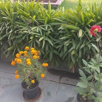 Profile Picture of S Kumar  (@s-kumar-486) on Quora