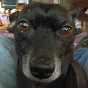 Profile Picture of Jason Rood (@19jasonrood92) on Youtube