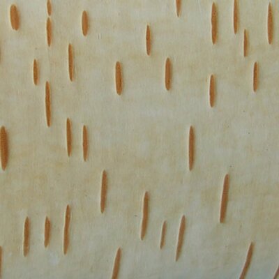 Profile Picture of OH DEAR (@Mike_Hiemstra) on Twitter