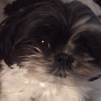 Profile Picture of Mickey C (@MickeyCurry10) on Twitter