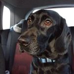 Profile Picture of Stephanie Daboval (@dabovalstephanie) on Instagram