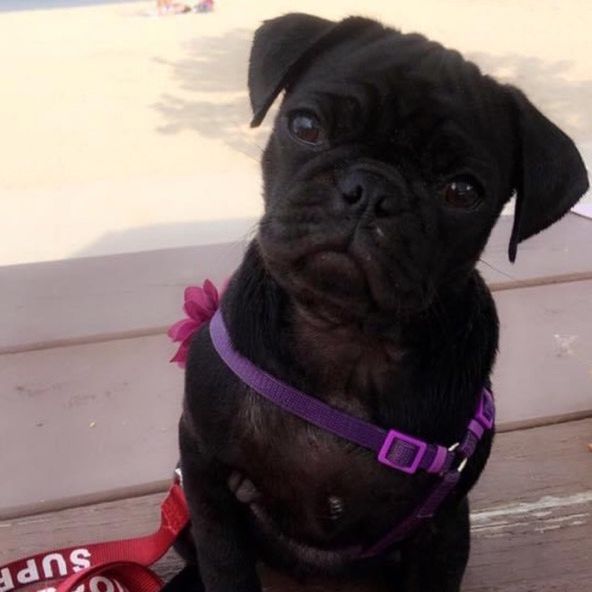 Profile Picture of Hazel graves (@user17411222237416) on Tiktok