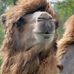Profile Picture of Peter Street (@peter.street.77) on Facebook