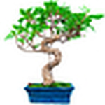 Profile Picture of Vincent Stephens (@vincentstephensphotos) on Flickr