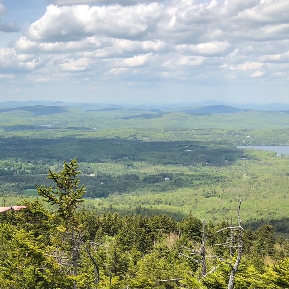 Profile Picture of Victoria Reynolds (@palm1000) on Poshmark