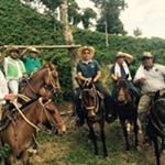 Profile Picture of Amado Mesa Guzman (@amadomesaguzman) on Instagram