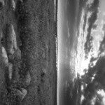 Profile Picture of Shel (@byronbrighamm) on Instagram