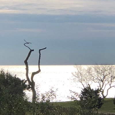 Profile Picture of John Casey (@mvcolor) on Twitter