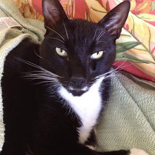 Profile Picture of Donna Hurlock (@Donna-Hurlock) on Facebook