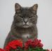 Profile Picture of Katarzyna Mazurek (@katarzyna.mazurek.338) on Facebook