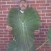 Profile Picture of Craig Enloe (@cenloe2) on Facebook