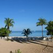 Profile Picture of Bob Bybee (@bobbybee186) on Youtube