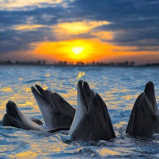 John Hosak - Facebook Profile Picture of John Hosak (@hosakj) on Facebook