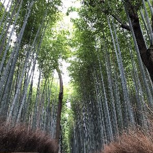 Profile Picture of Uncle Dan Money (@uncledanmoney) on Twitter