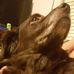 Profile Picture of Timothy Guthrie (@timothy.guthrie.71) on Facebook